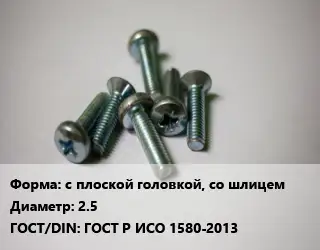 Винт с плоской головкой, со шлицем 2.5 ГОСТ Р ИСО 1580-2013